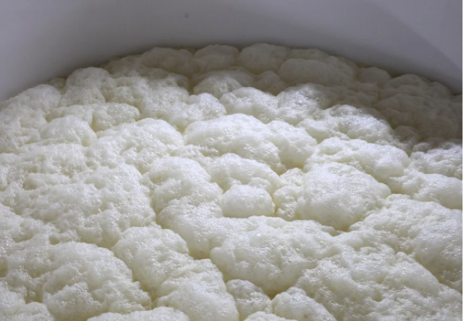 Fermenting moromi