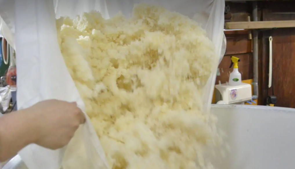 Yeast starter